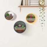 Xpoko Sand Art Wall Planters Box