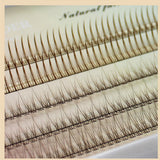 Xpoko Caramel Brown Fishtail A-Type False Eyelashes Christmas Thanksgiving gifts