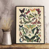 Xpoko Butterfly Vintage Poster