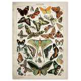 Xpoko Butterfly Vintage Poster