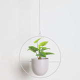 Xpoko Sleek Luxury Modern Hanging Pots