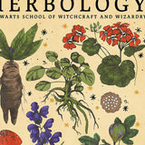 Xpoko Herbology Vintage Poster