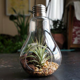 Xpoko Light Bulb Hanging Vase