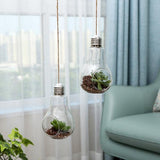 Xpoko Light Bulb Hanging Vase