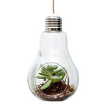 Xpoko Light Bulb Hanging Vase