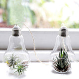 Xpoko Light Bulb Hanging Vase