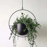 Xpoko Sleek Luxury Modern Hanging Pots