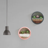 Xpoko Sand Art Wall Planters Box