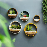 Xpoko Sand Art Wall Planters Box