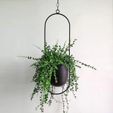 Xpoko Sleek Luxury Modern Hanging Pots