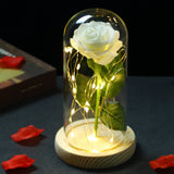 Xpoko Beauty And The Beast Rose Rose In LED Glass Dome Forever Rose Red Rose Valentine's Day Mother's Day Special Romantic Gift