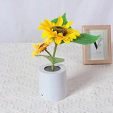 Xpoko Sunflower Decorative Led Lamp