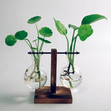 Xpoko Vintage Lab Beaker Vase