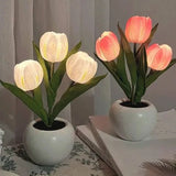 Xpoko Tulips Table Lamp Led