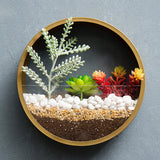 Xpoko Sand Art Wall Planters Box