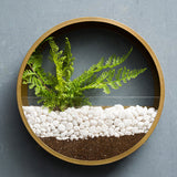 Xpoko Sand Art Wall Planters Box