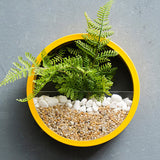 Xpoko Sand Art Wall Planters Box