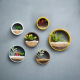 Xpoko Sand Art Wall Planters Box