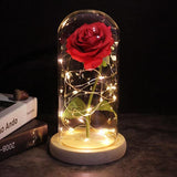 Beauty and Beast Rose Flower with Teddy Rose Bear In Glass Dome Home Wedding Decoration Birthday Valentine's Day Mother 's Gift
