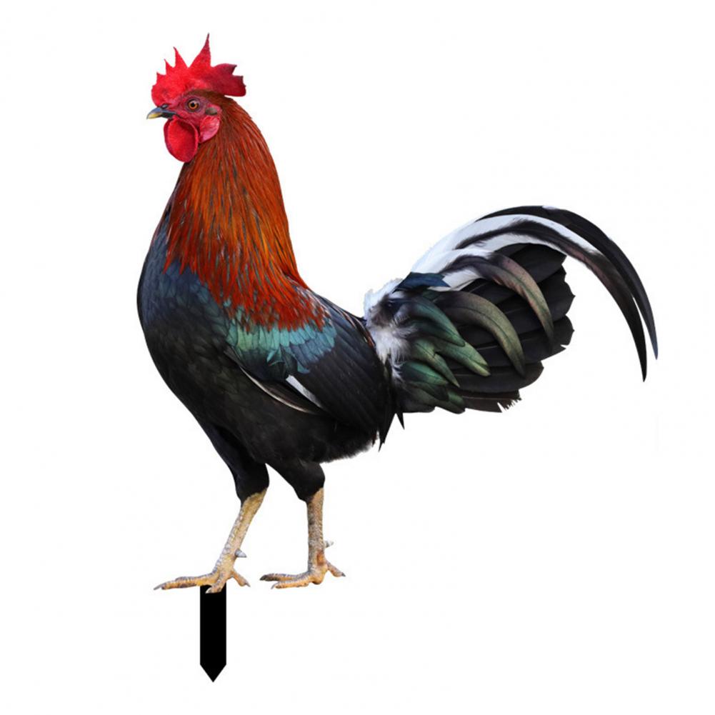 Xpoko Rooster Statue Decorative Stakes Realistic Life-Like Double-Sided Garden Statue Acrylic Chicken Yard Art Sculpture For Yard