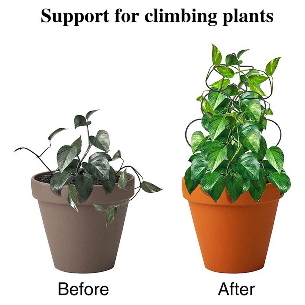 Xpoko Plant Climbing Trellis Stackable Plant Climbing Holder Metal Vine Supported Plant Rack Garden Supplies For Bonsai	For Balcony