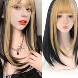 Long Straight Wigs Bangs Cosplay Wigs For Women Black Golden Gray Party Lolita False Hair Wigs