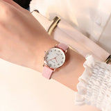 Women's Simple Vintage Watches for Women Dial Wristwatch Leather Strap Wrist Watch High Quality Ladies Casual Bracelet Watches