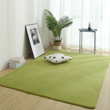 Flannel Carpets For Living Room Fluffy Soft Bedroom Rugs Home Decor Sponge Bottom Sofa Decoration Salon Floor Mat