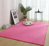 Flannel Carpets For Living Room Fluffy Soft Bedroom Rugs Home Decor Sponge Bottom Sofa Decoration Salon Floor Mat