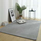 Flannel Carpets For Living Room Fluffy Soft Bedroom Rugs Home Decor Sponge Bottom Sofa Decoration Salon Floor Mat