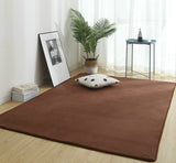 Flannel Carpets For Living Room Fluffy Soft Bedroom Rugs Home Decor Sponge Bottom Sofa Decoration Salon Floor Mat